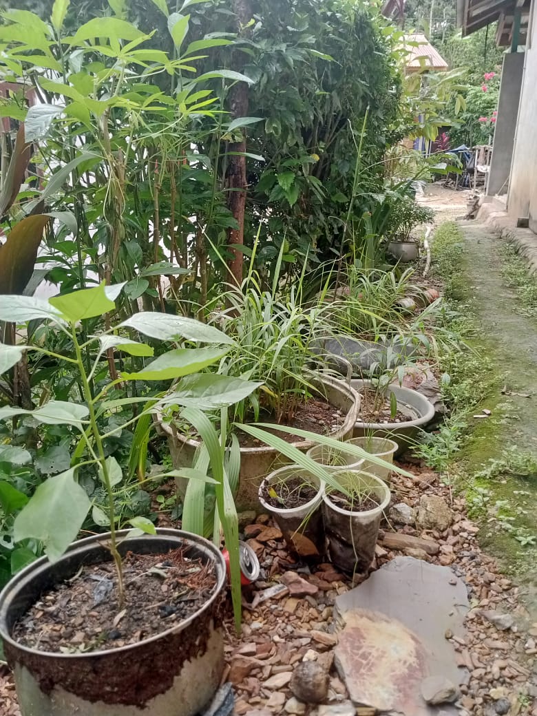 IMG-20250125-WA0103
