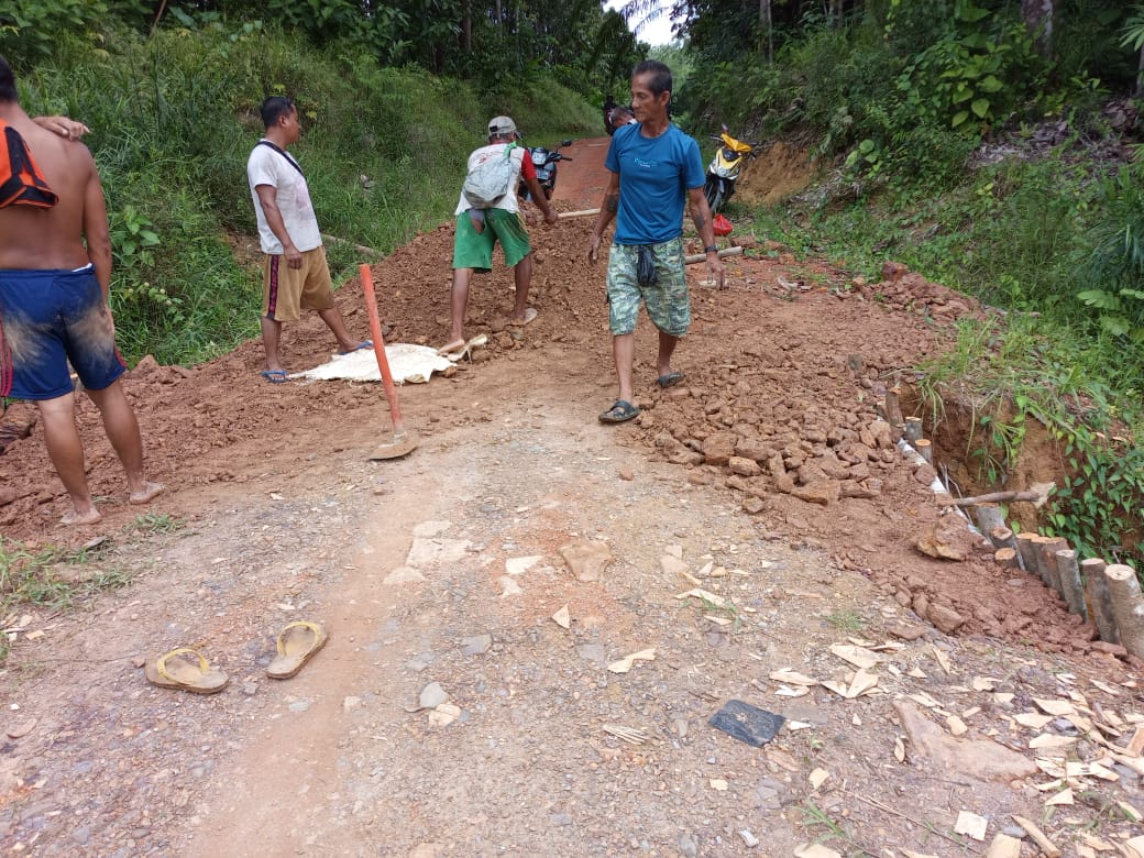 IMG-20250629-WA0024